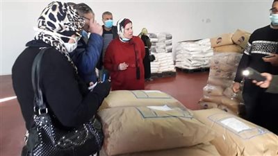 نشرة أخبار الإسكندرية | تحسن الأحوال الجوية وعودة الحياة مرة أخرى