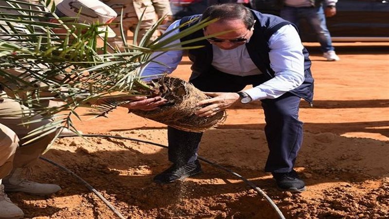 الرئيس عبد الفتاح