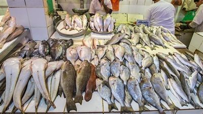 أسعار الأسماك اليوم السبت 19-3-2022 في مصر.. ارتفاع البلطي وتراجع الجمبري