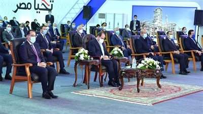 السيسي: نستهدف وضع مصر في مصاف الدول المتقدمة بإنتاج الطاقة المتجددة