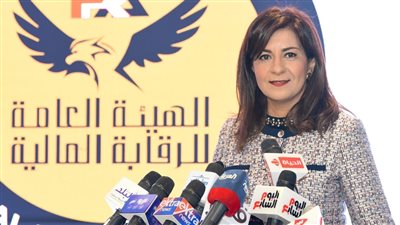  بدء تطبيق أول تأمين للمصريين العاملين والمقيمين بالخارج.. 1 يناير