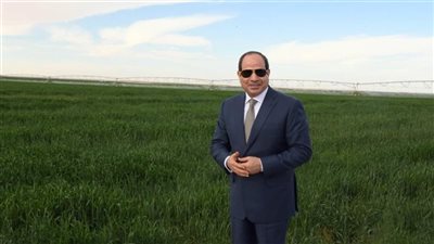 وزير الكهرباء يشكر وزارة الدفاع.. والسيسي يمازحه| فيديو