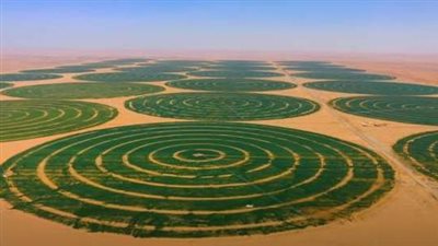 برلمانى يطالب بخريطة زراعية جديدة تتماشى مع التحديات العالمية