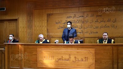 المشدد من ٧ لـ١٥ سنة للمتهمين في خلية هشام عشماوي | فيديو