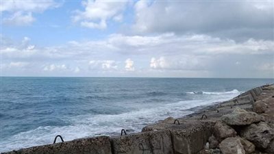 نشاط في حركة الملاحة وتداول البضائع بميناء الإسكندرية