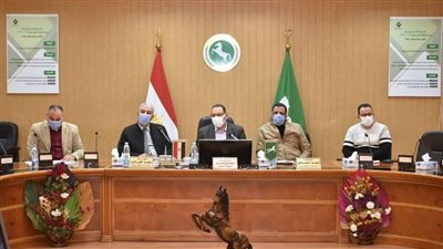 محافظ الشرقية يكلف بتجهيز عروس ههيا وصرف إعانة عاجلة لها ومعاش لسيدة كفيفة