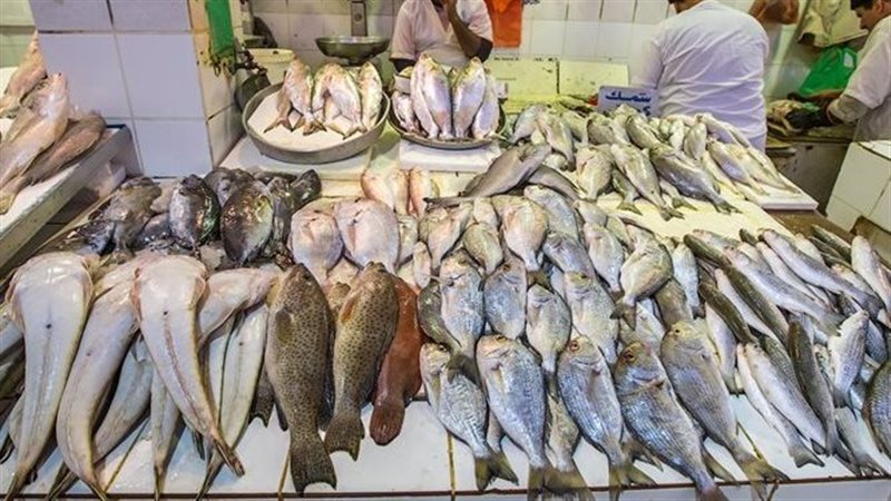 اسعار الاسماك