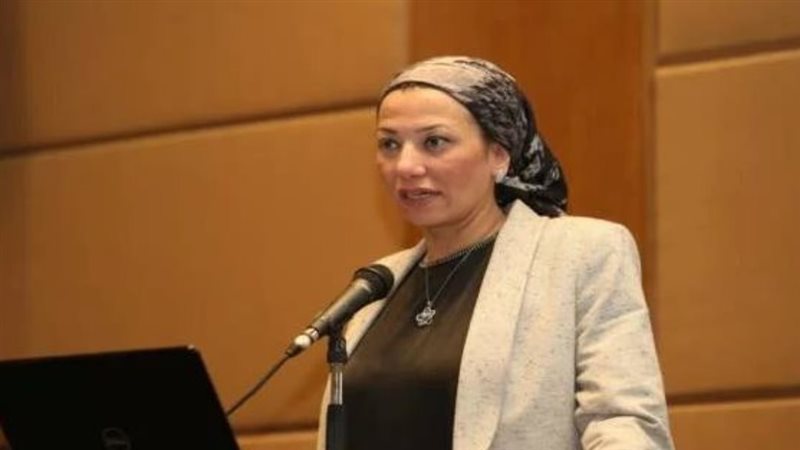 الدكتورة ياسمين فؤاد