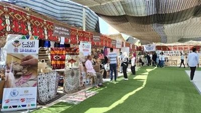 5 ملايين نخلة في الوادي الجديد استعدادًا لمهرجان التمور