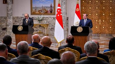 السيسي ونظيره السنغافوري يشهدان توقيع عدد من مذكرات التفاهم ويعقدان مؤتمرًا صحفيًا (فيديو)