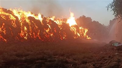 اندلاع حريق في عصارة قصب بقنا والدفع بـ3 سيارات إطفاء لإخماده