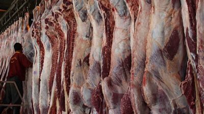 9.5 جنيه انخفاضًا في البتلو، أسعار اللحوم اليوم بالأسواق