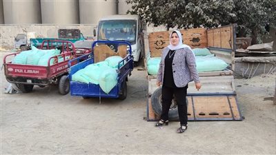 حملة تموينية مكبرة تضبط دقيقا وبطاقات تموينية مسروقة في المنيرة بالجيزة