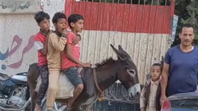 حمار وتوك توك وتروسيكل، طلاب أسيوط يرفعون شعار