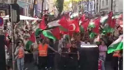 تظاهرات حاشدة في تونس دعما لوقف إطلاق النار بغزة