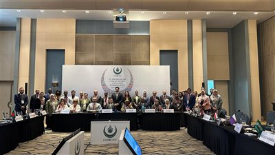 التضامن تمثل مصر فى الاجتماع الـ25 لـ