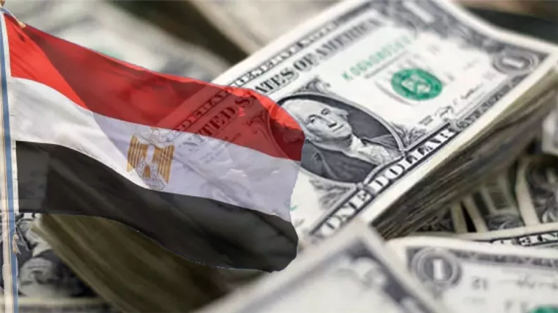 ديون مصر،فيتو