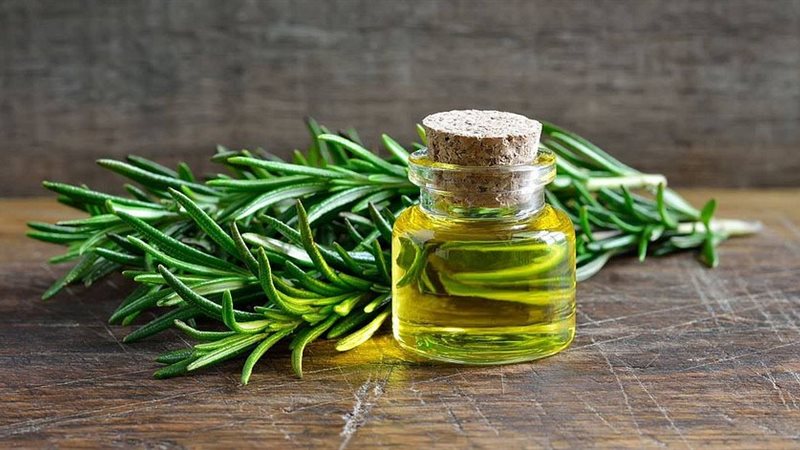 زيت الروزماري، فيتو