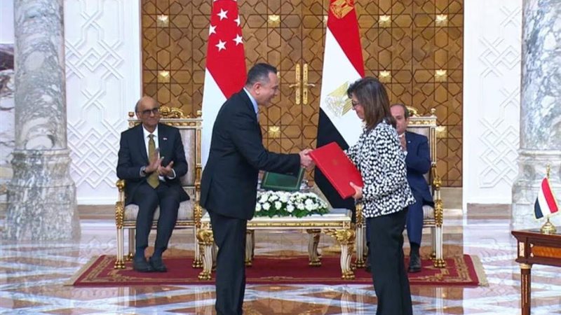 د. سلافة جويلي المدير