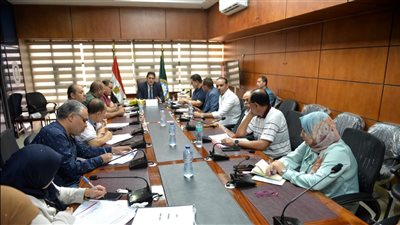 نائب محافظ الدقهلية يترأس اجتماع الأمانة الفنية لمجلس إدارة المنطقة الصناعية بجمصة