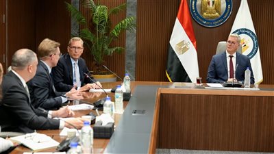 مصر والولايات المتحدة تبحثان فرص التعاون في مشروعات الطاقة والبتروكيماويات