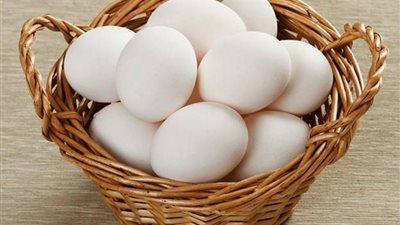 ارتفاع الأبيض، أسعار كرتونة البيض في بورصة الدواجن اليوم الإثنين