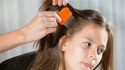 كيف تتغلبين على هيشان شعر البنات فى المدرسة 