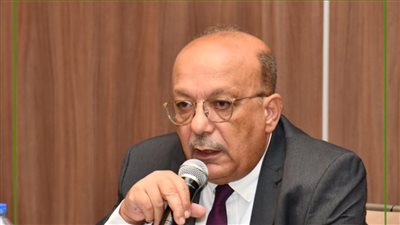 بهاء ديمتري: فرض رسوم على واردات الصاج له نتائج سلبية على الصناعة المصرية