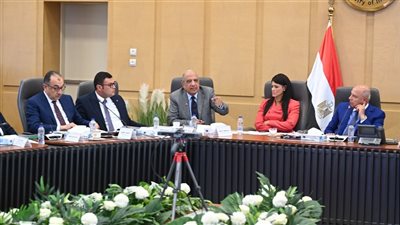  وزير الصناعة: الدولة ملتزمة بتوريد الغاز اللازم لتشغيل مصانع الأسمدة