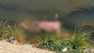 جثة مسن طافية بمياه ترعة القاصد بطنطا تثير رعب المواطنين (صور)