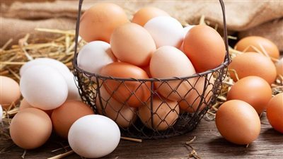 سعر كرتونة البيض اليوم الثلاثاء في بورصة الدواجن