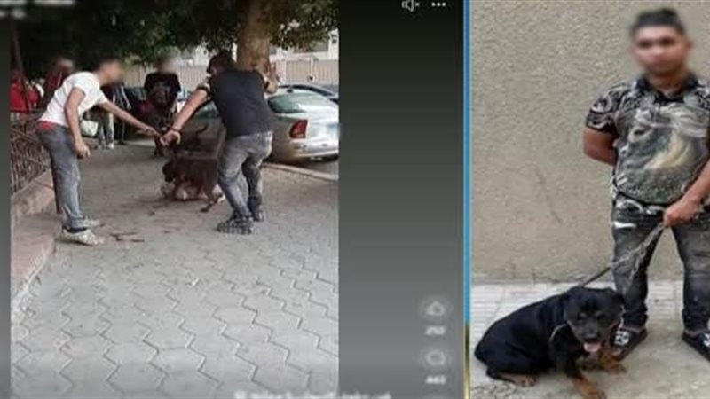 ضبط المتهم في واقعة