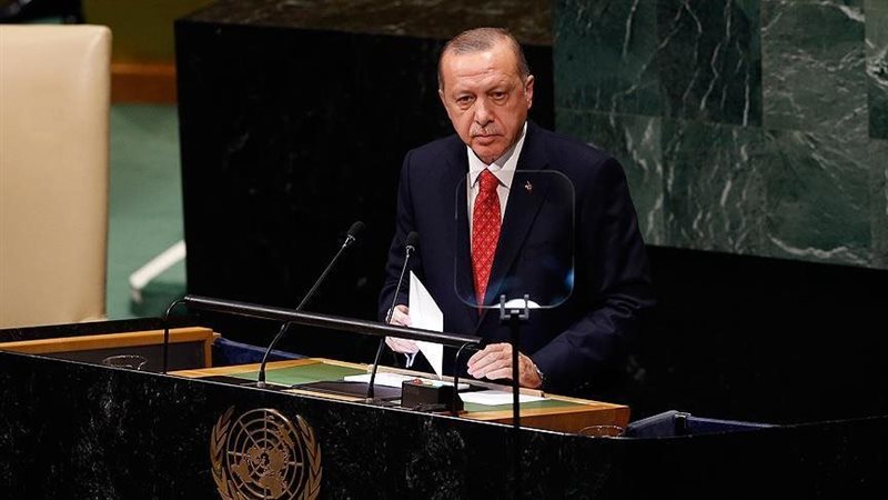 أردوغان، فيتو