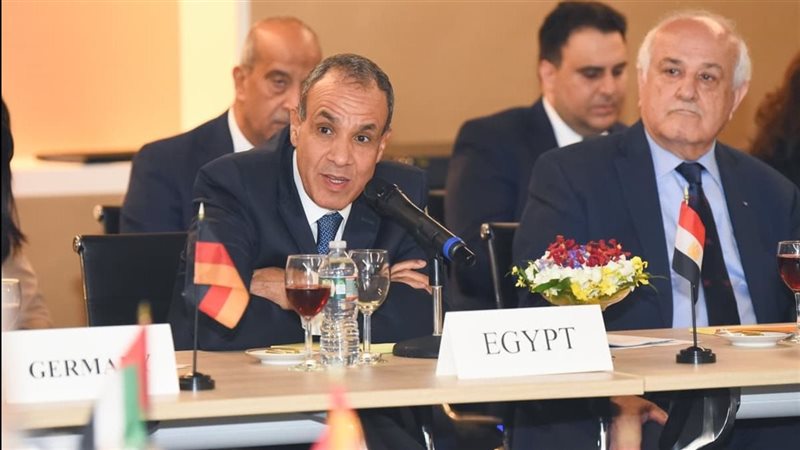 الدكتور بدر عبد العاطي