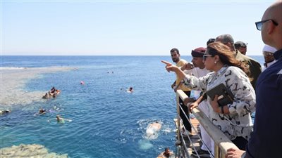 منال عوض: تنظيم السياحة البيئية بمحمية أبو جالوم والبلو هول في جنوب سيناء