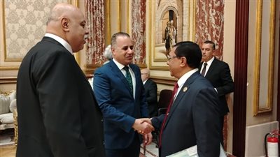 توافد نواب دوائر الصعيد الجدد لاستخراج كارنيهات مجلس الشيوخ 