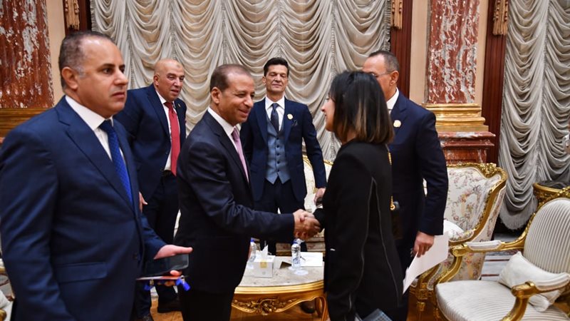 مجلس الشيوخ، فيتو