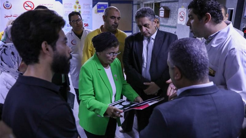 د.عبلة الألفي، فيتو