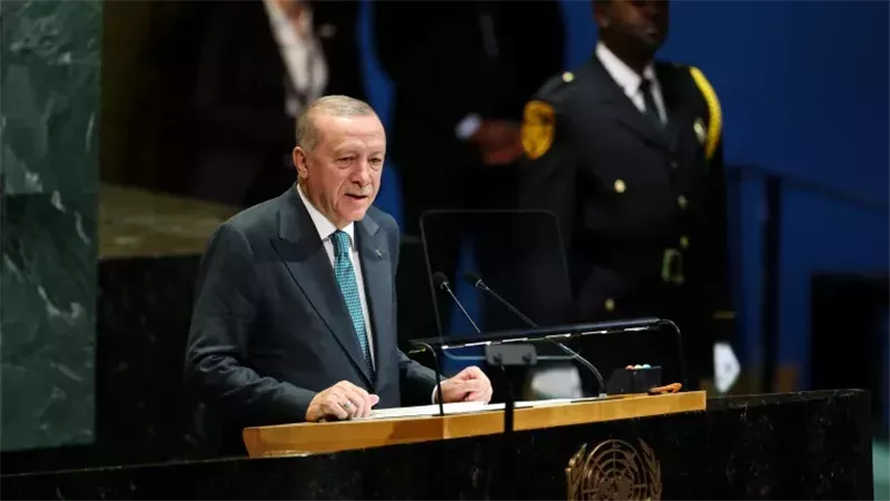 أردوغان، فيتو 