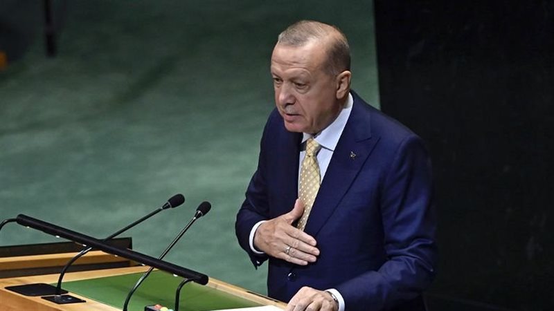 اردوغان،فيتو