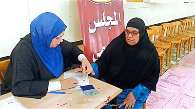 استخراج بطاقات الرقم القومي بالمجان لـ 240 سيدة بقرية كوم الحاصل بالبحيرة
