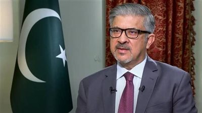 السفير الباكستاني: نشجع شركات بلادنا على زيادة استثماراتها بمصر