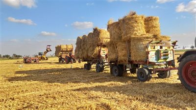 بيئة الشرقية: الحرق المكشوف للمخلفات الزراعية يعرض صاحبها للحبس والغرامة