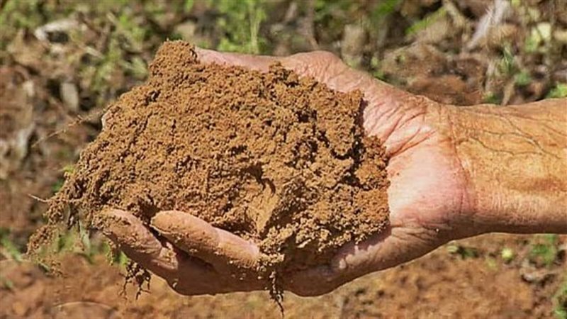تفسير حلم أكل الطين