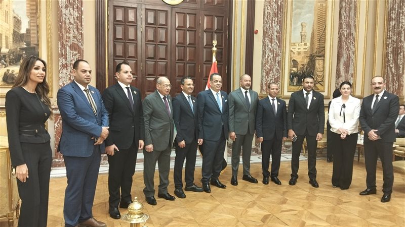 مجلس الشيوخ، فيتو