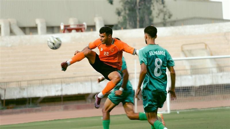 دوري المحترفين 