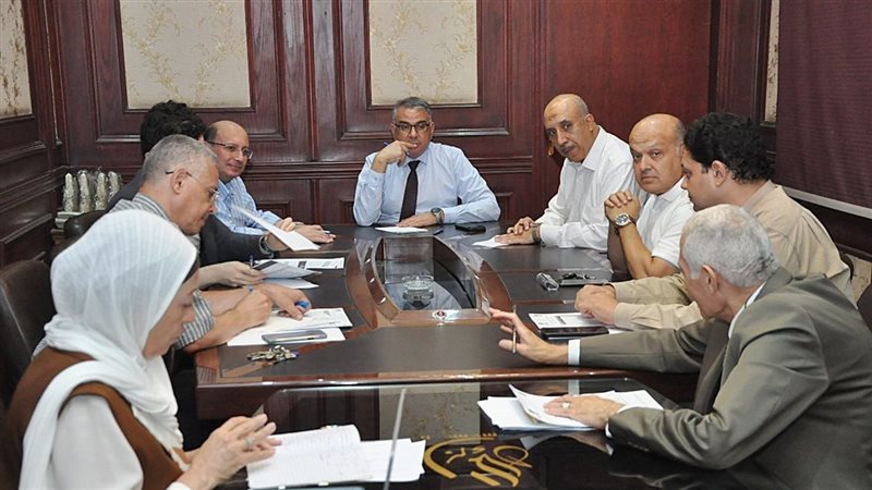 جامعة عين شمس، فيتو