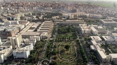 إدراج 83 عالما من جامعة المنصورة ضمن قائمة ستانفورد للنخبة الأكثر تأثيرا