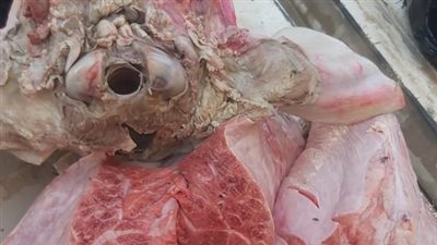 ضبط جزار يعرض فواكه لحوم فاسدة للبيع بالفيوم