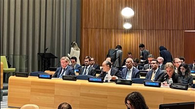 وزير الخارجية: الاعتراف الدولي المتزايد بدولة فلسطين يشكل لحظة تاريخية